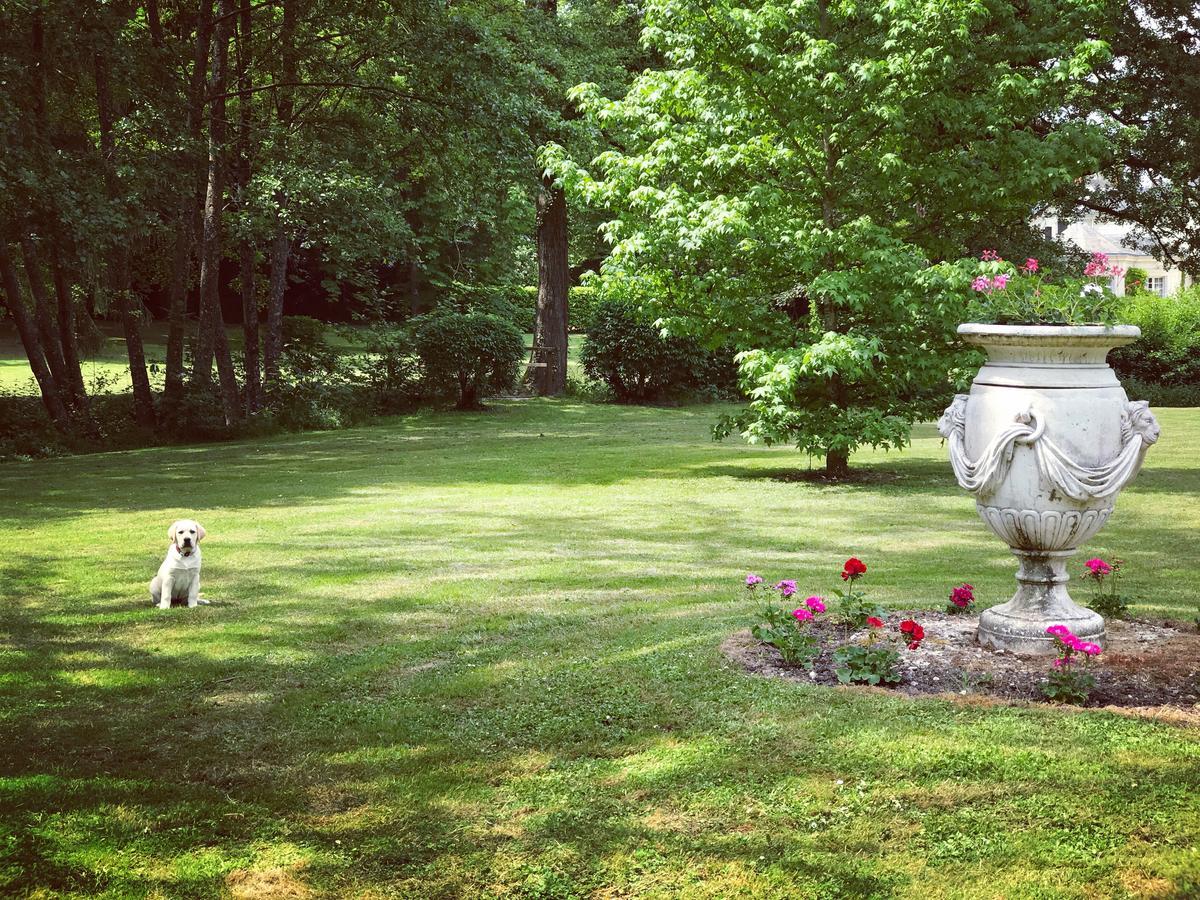 Chambre d'hôte Manoir de Clairbois Larcay Extérieur photo